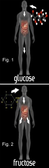 high fructose corn syrup