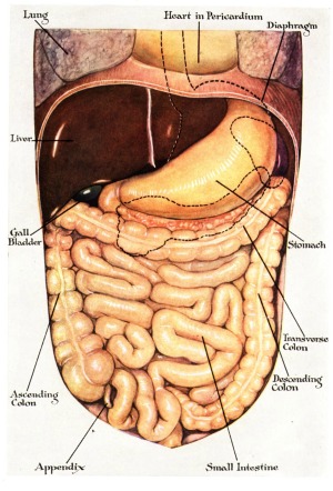 abdoninal bloating